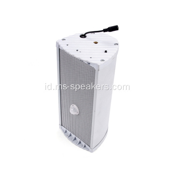 30W Weatherproof Infrared Induksi Speaker